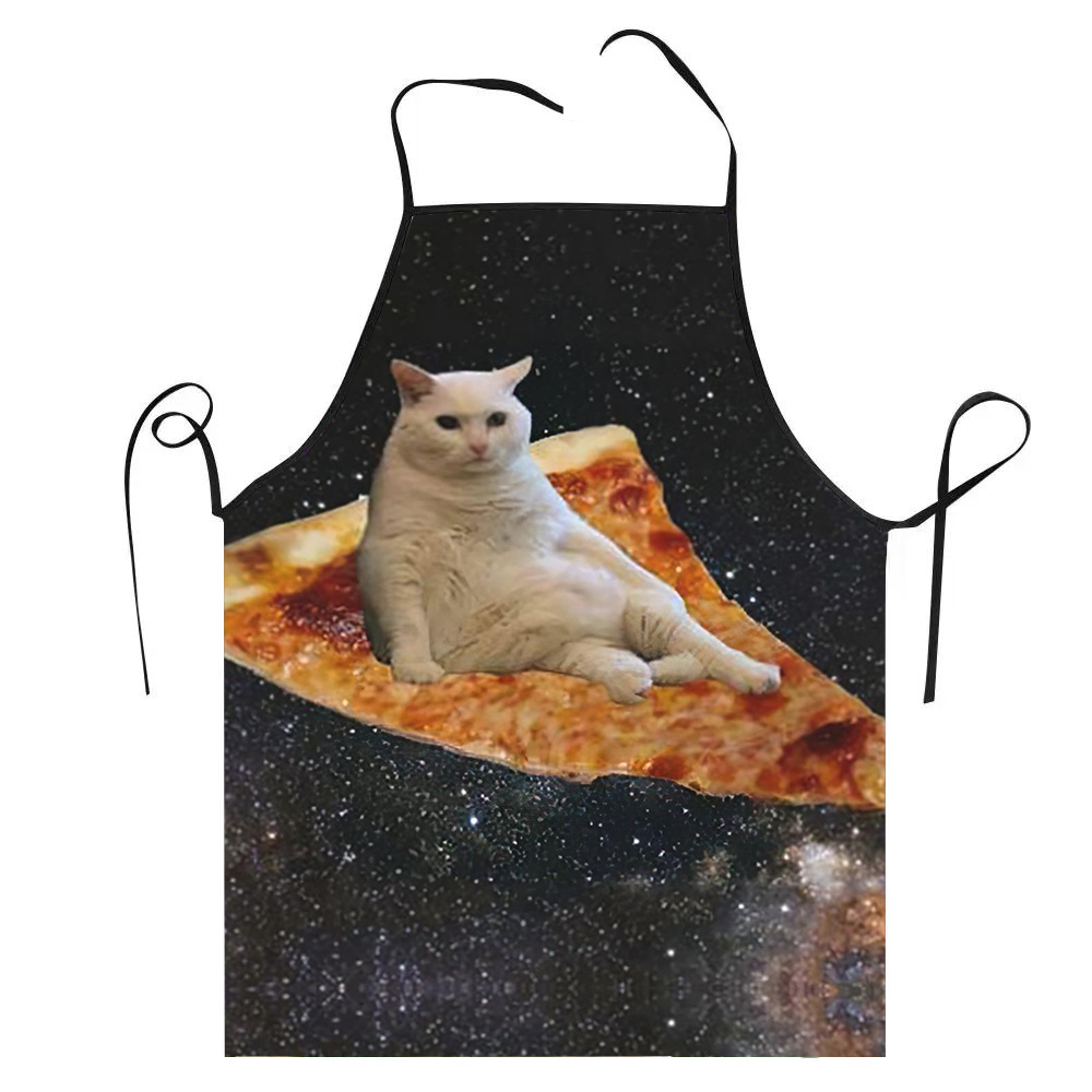 68X95cm 유니섹스 스페이스 피자 고양이 Meme  - Kitchen Baking Cloth 리뷰 및 가격